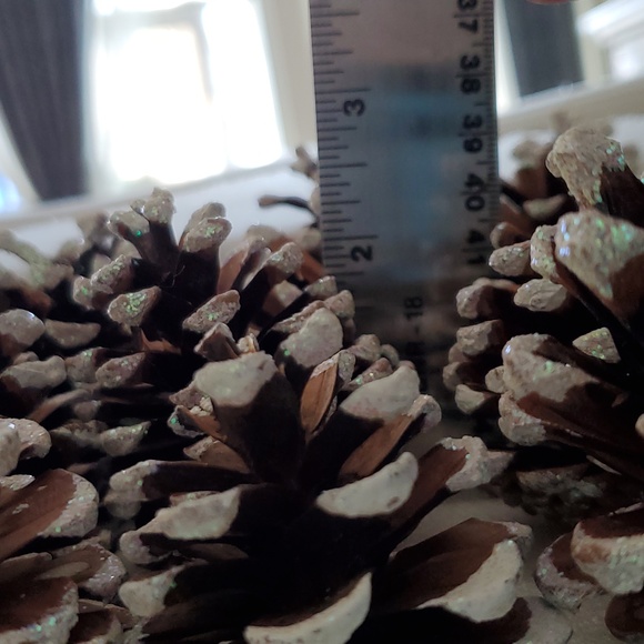 Pine Cones White Tips Glittered - Picture 5 of 5
